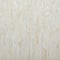 19" Beige Mussel Shells & Wood Contemporary Accent Table
